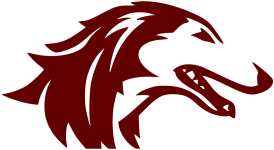 Southern Illinois logo