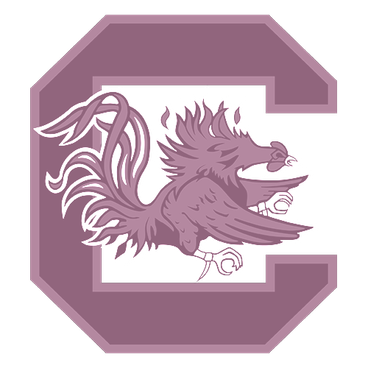 South Carolina logo