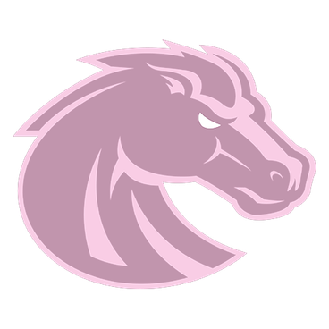 Boise State logo