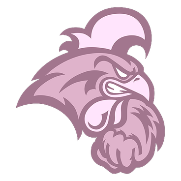 Coastal Carolina logo