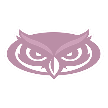 Florida Atlantic logo