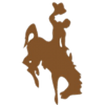 Wyoming logo